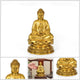 Statue Bouddha Amitabha en cuivre jaune Statues Bouddha Artisan d'Asie S1 - 21.5 cm