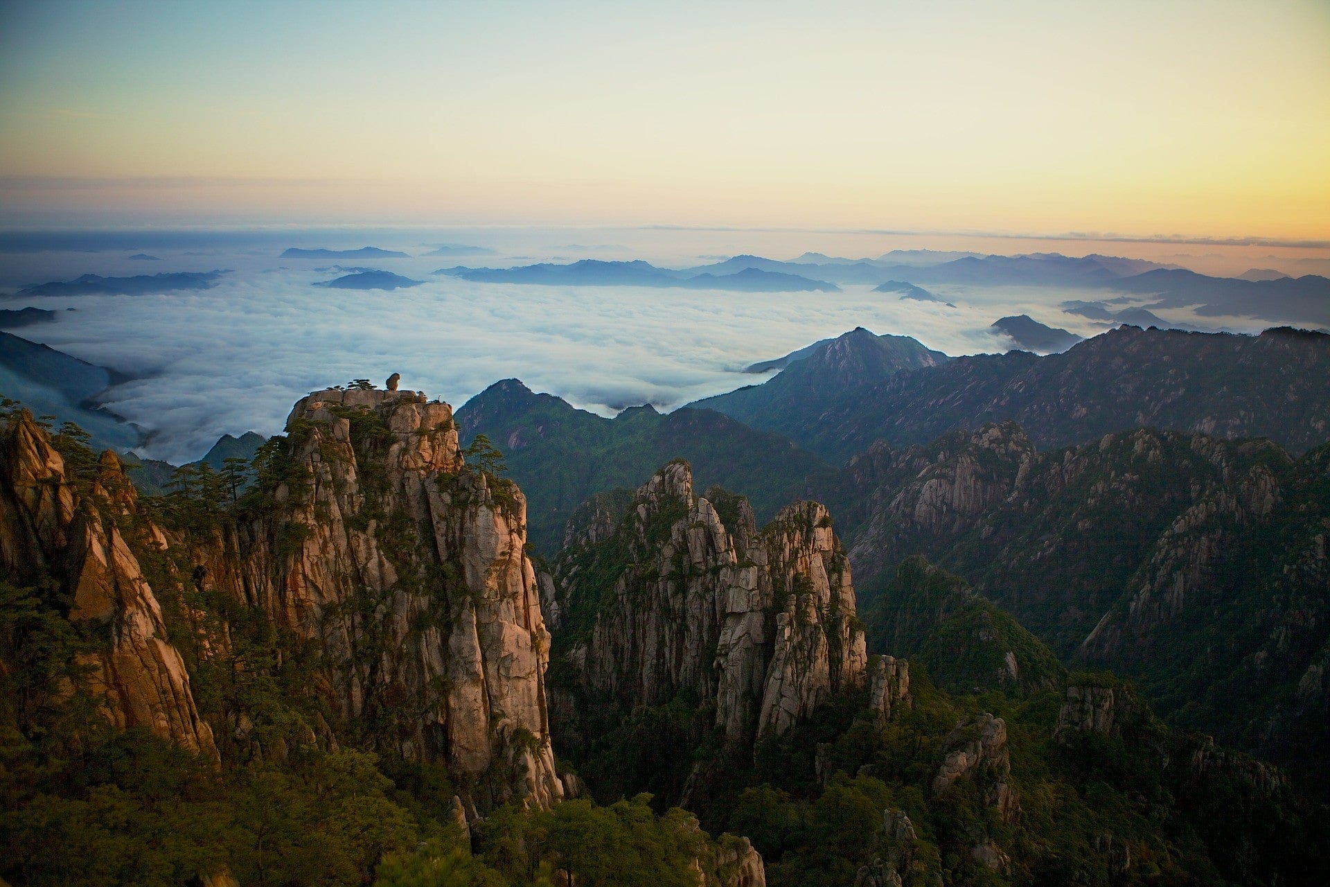 Huangshan Maofeng: Unveiling the Hidden Gem of China's Yellow Mountains
